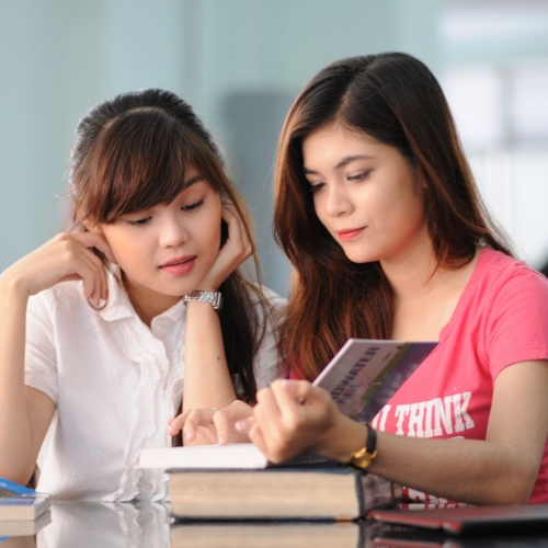 English for Other Faculty Students